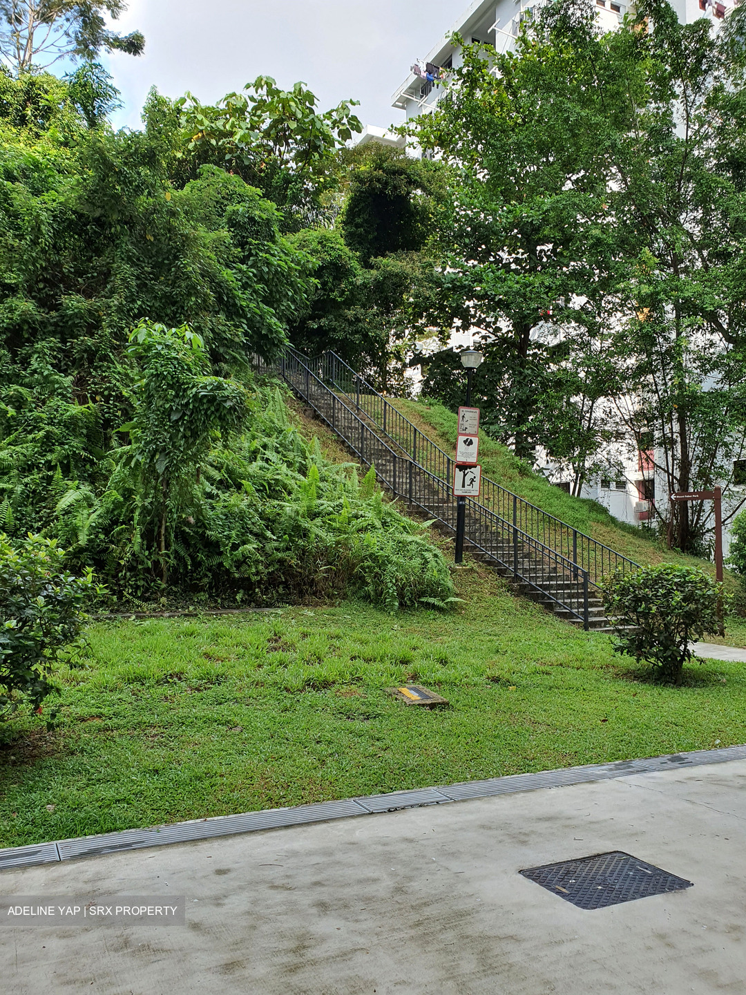 Blk 43 Telok Blangah Rise (Bukit Merah), HDB 3 Rooms #549779141
